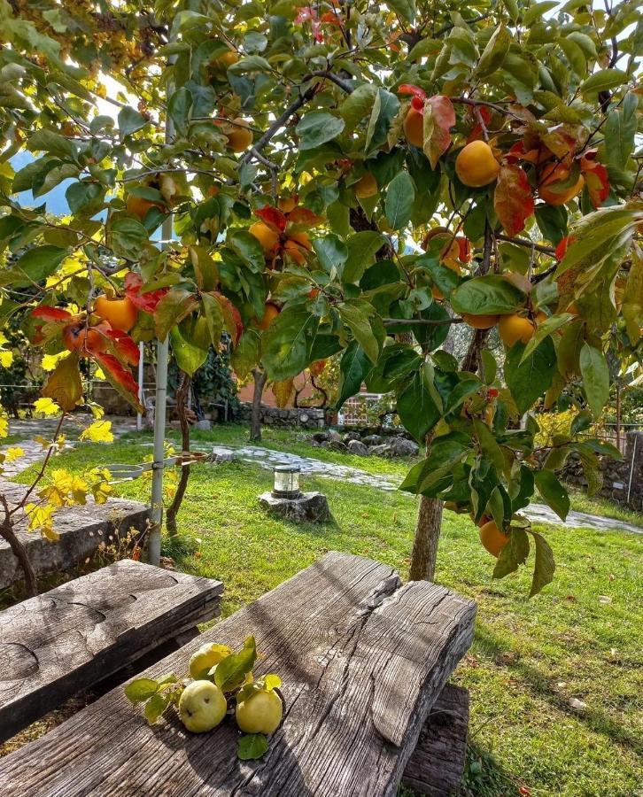 Sailor'S Rustic House Villa Вирпазар Екстериор снимка