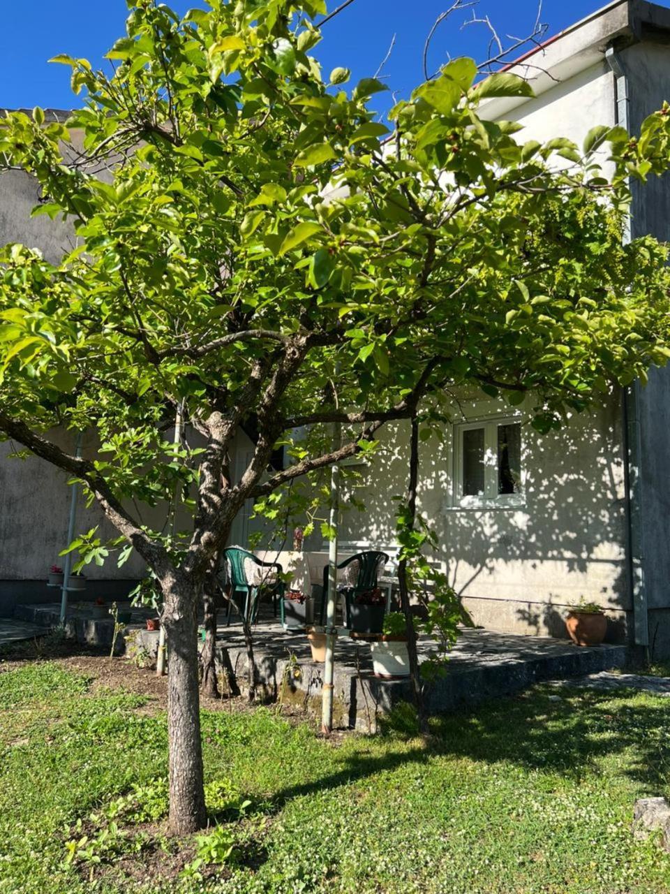 Sailor'S Rustic House Villa Вирпазар Екстериор снимка